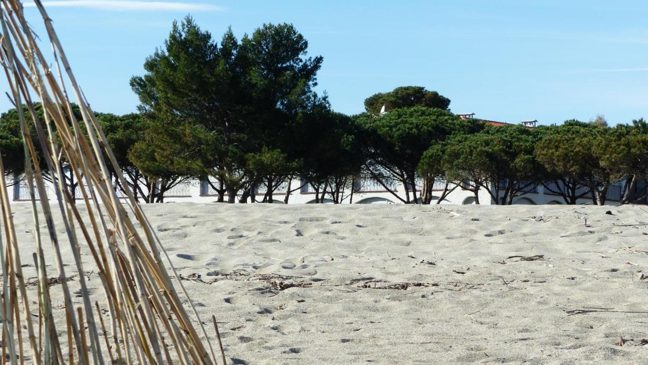 Belle Vue Sur Mer Au Calme 滨海阿热莱斯 外观 照片